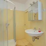 Spirit Of Istria Apartment *