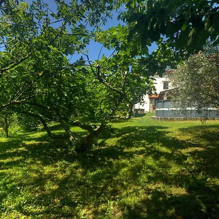 Apartments Spirit Of Istria Truske