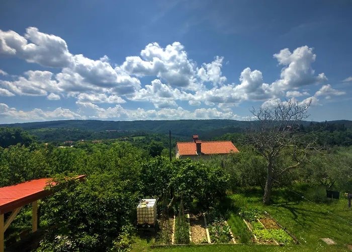 Daire Spirit Of Istria Truške