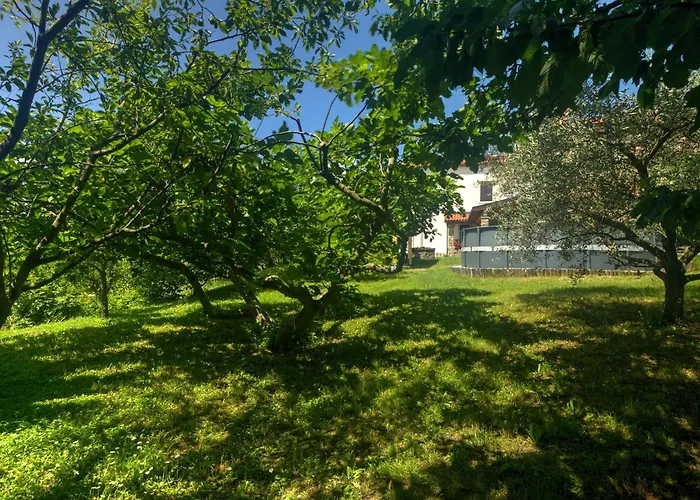 Spirit Of Istria Truške