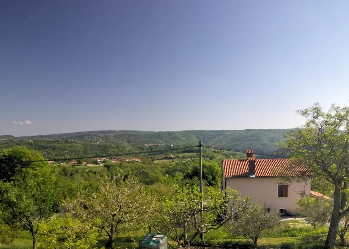 Daire Spirit Of Istria *